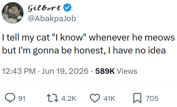 Gilbert @AbakpaJob I tell my cat "I know" whenever he meows but I'm gonna be honest, I have no idea 12:43 PM ⚫ Jun 19, 2026 589K Views ◇ 91 14.2K 41K ☐ 705