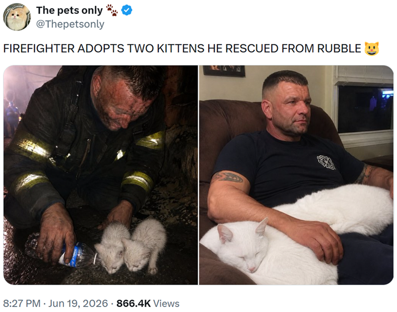 The pets only @Thepetsonly FIREFIGHTER ADOPTS TWO KITTENS HE RESCUED FROM RUBBLE 8:27 PM ⚫ Jun 19, 2026 · 866.4K Views