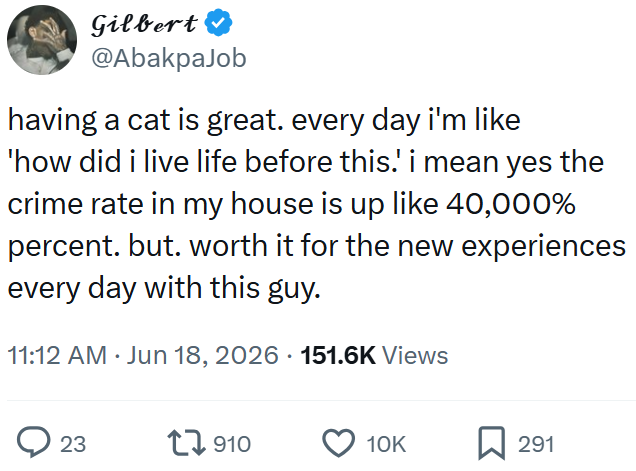 Gilbert @AbakpaJob having a cat is great. every day i'm like 'how did i live life before this.' i mean yes the crime rate in my house is up like 40,000% percent. but. worth it for the new experiences every day with this guy. 11:12 AM ⚫ Jun 18, 2026 151.6K Views 23 1910 10K 291