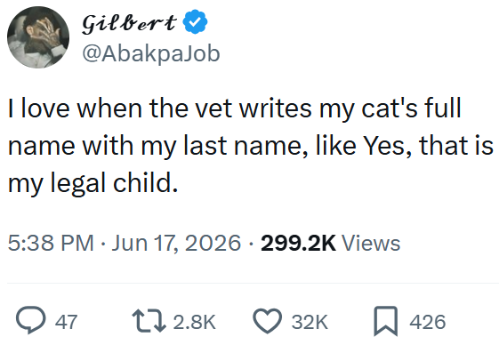 Gilbert @AbakpaJob I love when the vet writes my cat's full name with my last name, like Yes, that is my legal child. 5:38 PM ⚫ Jun 17, 2026 - 299.2K Views 47 12.8K 32K ☐ 426