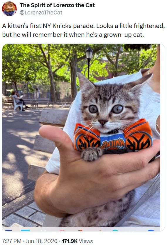 The Spirit of Lorenzo the Cat @LorenzoTheCat A kitten's first NY Knicks parade. Looks a little frightened, but he will remember it when he's a grown-up cat. 7:27 PM • Jun 18, 2026 171.9K Views