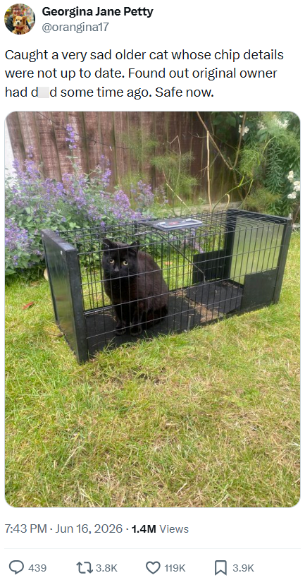 Georgina Jane Petty @orangina17 Caught a very sad older cat whose chip details were not up to date. Found out original owner had d d some time ago. Safe now. 7:43 PM - Jun 16, 2026 -1.4M Views 439 3.8K 119K ☐ 3.9K