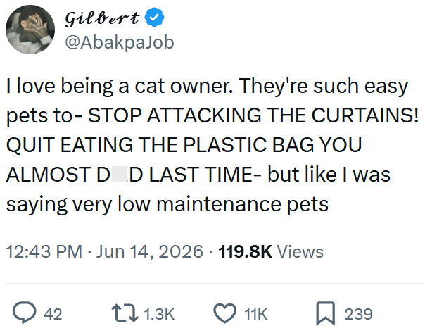 Gilbert @AbakpaJob I love being a cat owner. They're such easy pets to- STOP ATTACKING THE CURTAINS! QUIT EATING THE PLASTIC BAG YOU ALMOST DED LAST TIME- but like I was saying very low maintenance pets 12:43 PM Jun 14, 2026 119.8K Views 42 1.3K 11K 239
