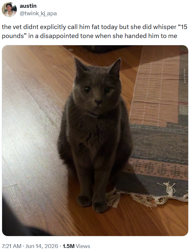 austin @twink_kj_apa the vet didnt explicitly call him fat today but she did whisper "15 pounds" in a disappointed tone when she handed him to me . 7:21 AM ⚫ Jun 14, 2026 1.5M Views 健康康康車載