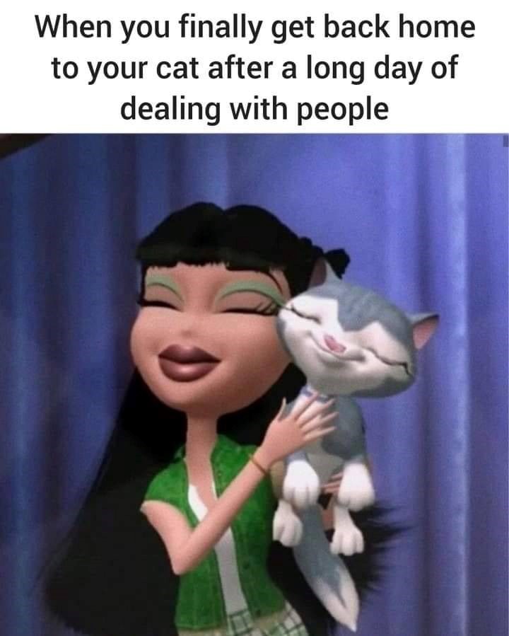 When you finally get back home to your cat after a long day of dealing with people