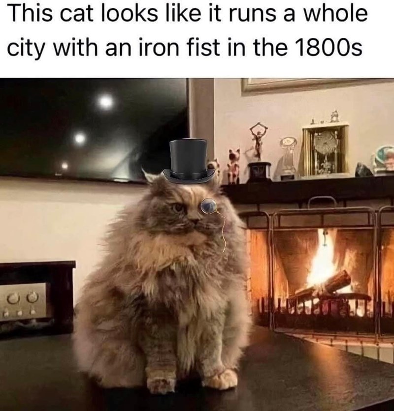 This cat looks like it runs a whole city with an iron fist in the 1800s