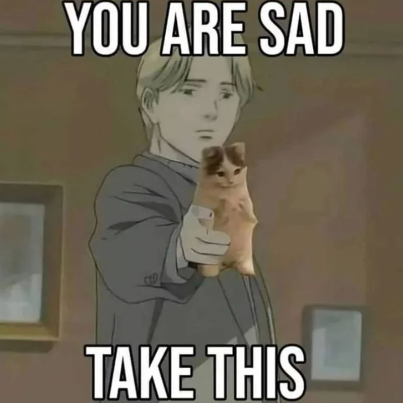 YOU ARE SAD TAKE THIS