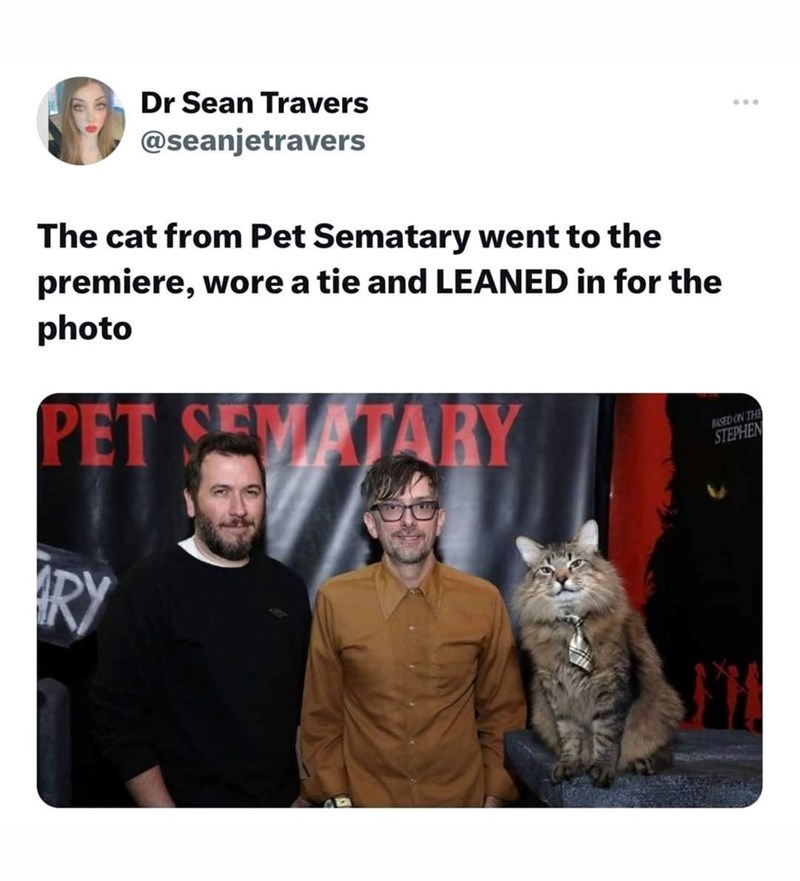 Dr Sean Travers @seanjetravers The cat from Pet Sematary went to the premiere, wore a tie and LEANED in for the photo PET SEMATARY RY BASED ON THE STEPHEN