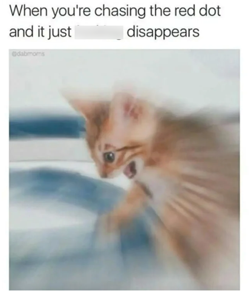 When you're chasing the red dot and it just @dabmoms disappears