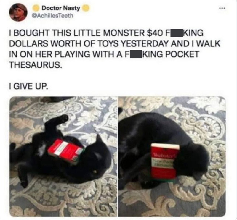 Doctor Nasty @AchillesTeeth I BOUGHT THIS LITTLE MONSTER $40 F KING DOLLARS WORTH OF TOYS YESTERDAY AND I WALK IN ON HER PLAYING WITH A F KING POCKET THESAURUS. I GIVE UP. Webster Pack Thesaund