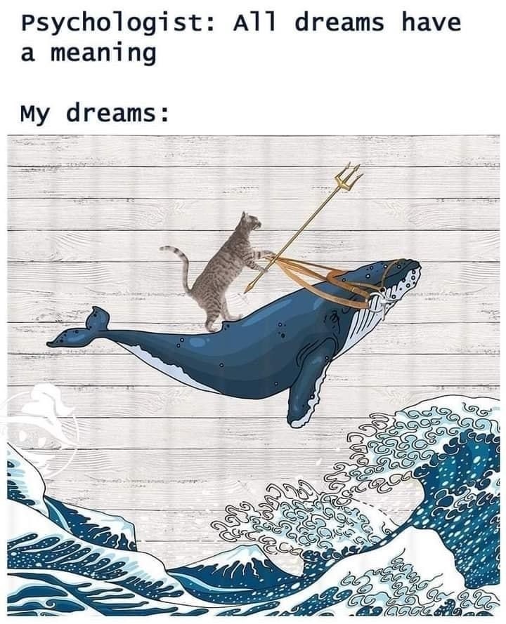Psychologist: All dreams have a meaning My dreams: