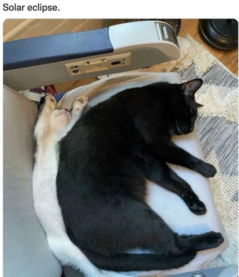 Solar eclipse.