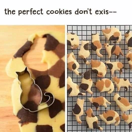 the perfect cookies don't exis--