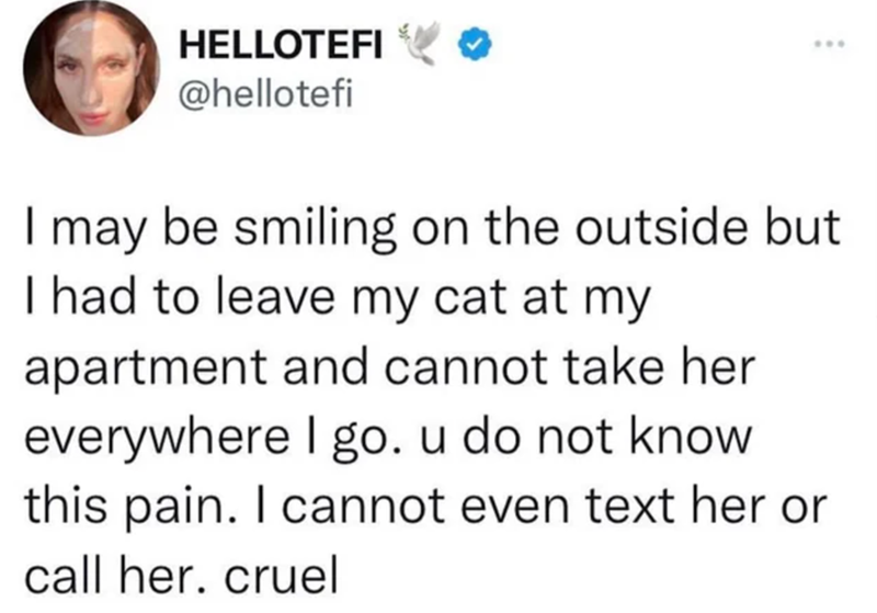 HELLOTEFI @hellotefi *** I may be smiling on the outside but I had to leave my cat at my apartment and cannot take her everywhere I go. u do not know this pain. I cannot even text her or call her. cruel