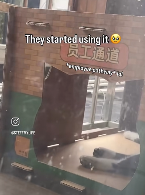 They started using it 员工通道 *employee pathway*lol GSTEFFMYLIFE
