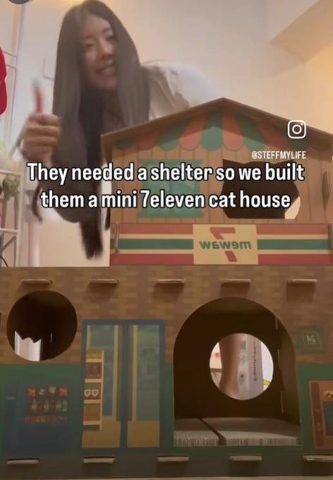 [0] GSTEFFMYLIFE They needed a shelter so we built them a mini 7eleven cat house 41442 100 W6W9m