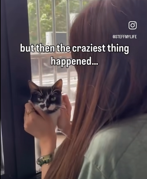 O STEFFMYLIFE but then the craziest thing happened...
