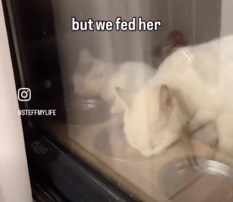 STEFFMYLIFE but we fed her