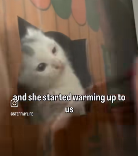 and she started warming up to STEFFMYLIFE us