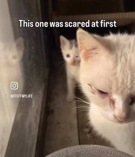 This one was scared at first STEFFMYLIFE
