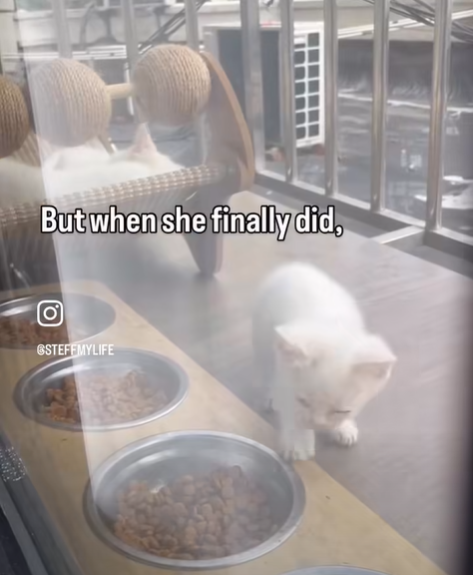 But when she finally did, GSTEFFMYLIFE