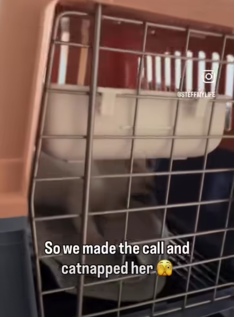 TO Ο STEFFMYLIFE So we made the call and catnapped her