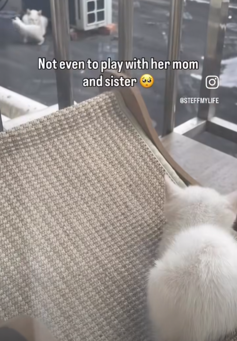 Not even to play with her mom and sister O GSTEFFMYLIFE