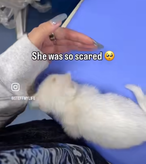 She was so scared GSTEFFMYLIFE