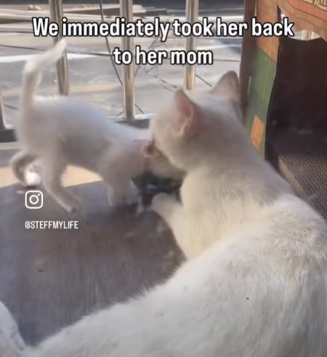 We immediately took her back to her mom STEFFMYLIFE