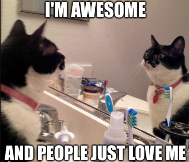 I'M AWESOME AND PEOPLE JUST LOVE ME