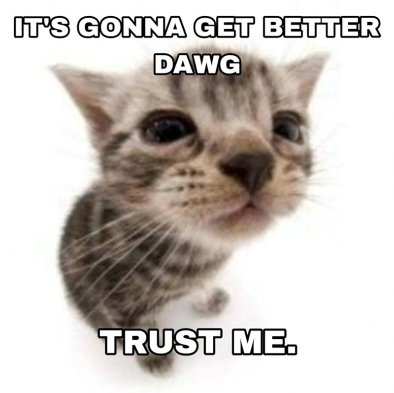 IT'S GONNA GET BETTER DAWG TRUST ME.