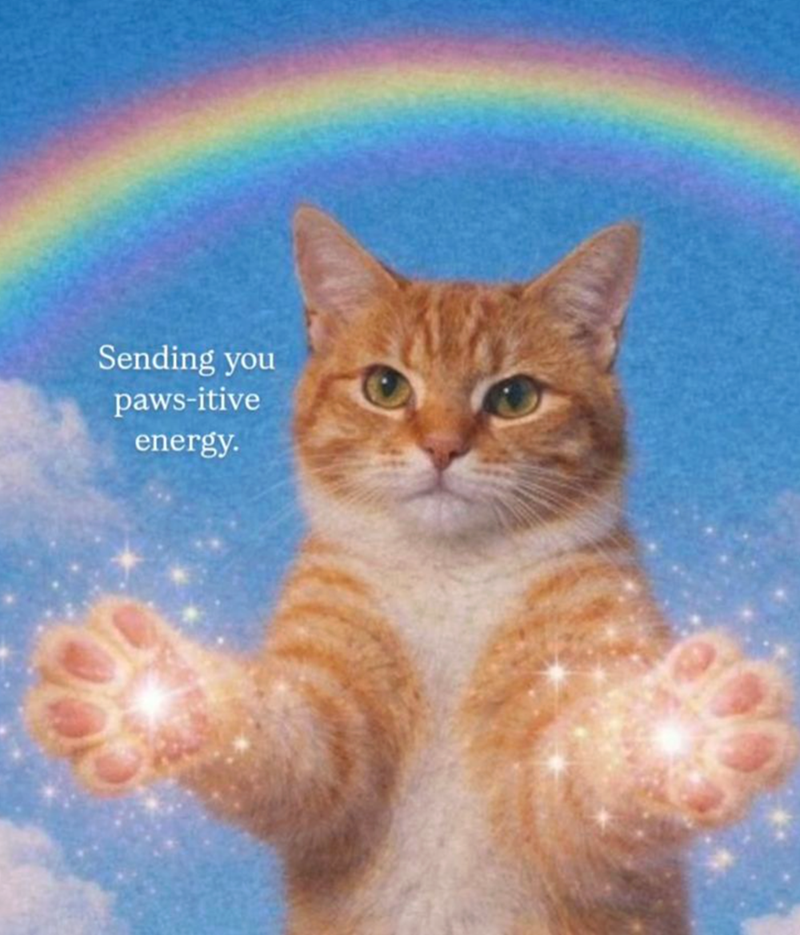 Sending you paws-itive energy.