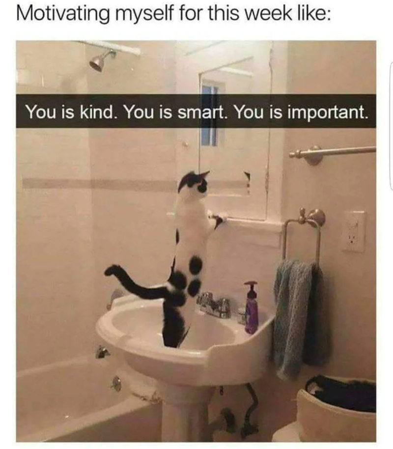 Motivating myself for this week like: You is kind. You is smart. You is important.
