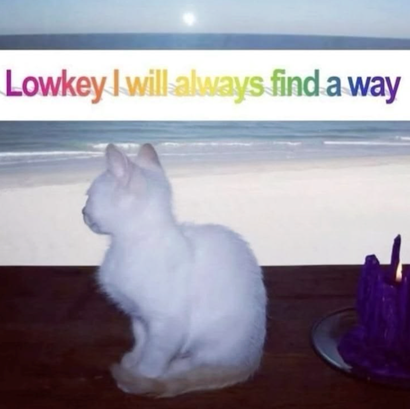 Lowkey I will always find a way