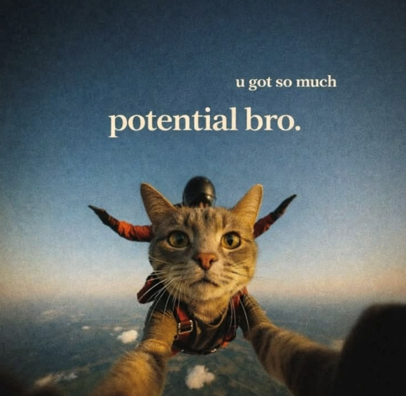 u got so much potential bro.