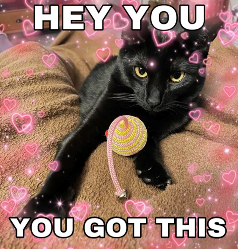 HEY YOU YOU GOT THIS