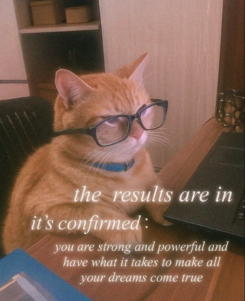 the results are in it's confirmed: you are strong and powerful and have what it takes to make all your dreams come true