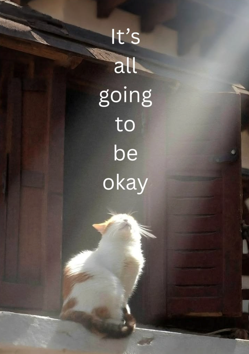It's all going to be okay