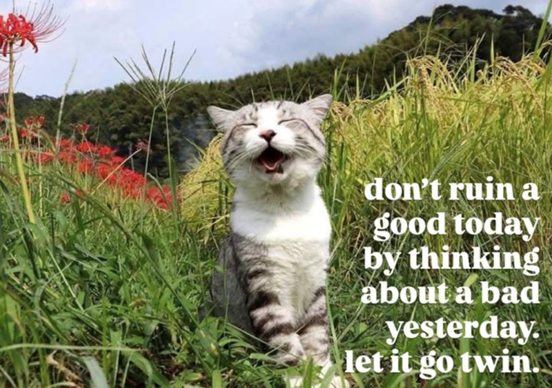 don't ruin a good today by thinking about a bad yesterday. let it go twin.