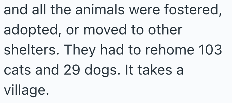 and all the animals were fostered, adopted, or moved to other shelters. They had to rehome 103 cats and 29 dogs. It takes a village.