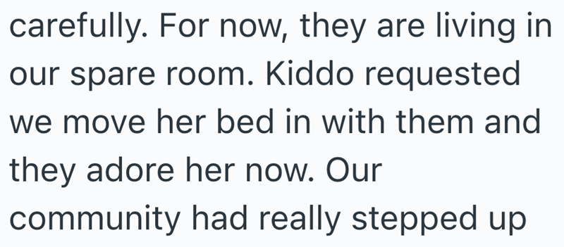 carefully. For now, they are living in our spare room. Kiddo requested we move her bed in with them and they adore her now. Our community had really stepped up