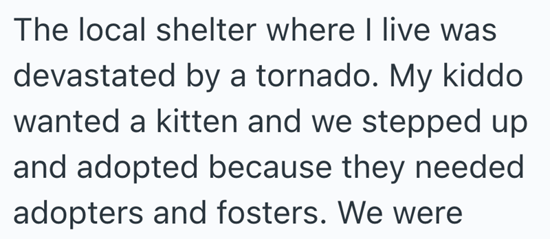 The local shelter where I live was devastated by a tornado. My kiddo wanted a kitten and we stepped up and adopted because they needed adopters and fosters. We were