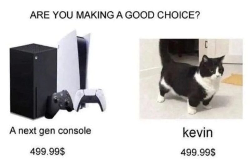 ARE YOU MAKING A GOOD CHOICE? с A next gen console 499.99$ kevin 499.99$
