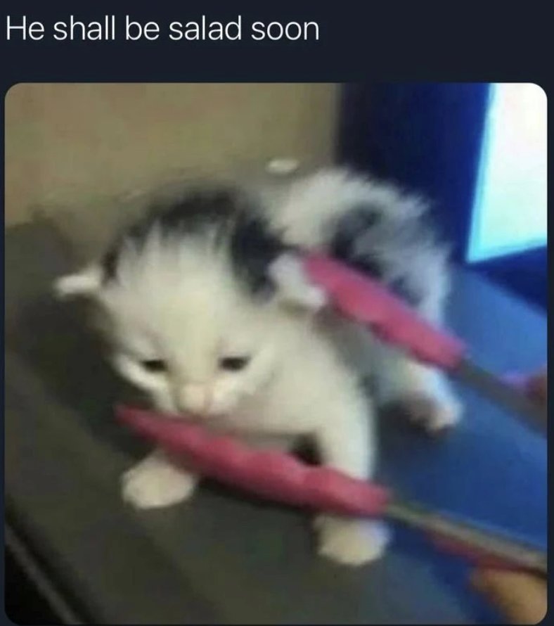 He shall be salad soon