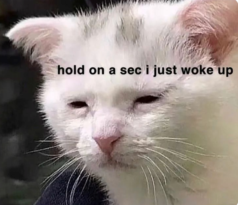 hold on a sec i just woke up