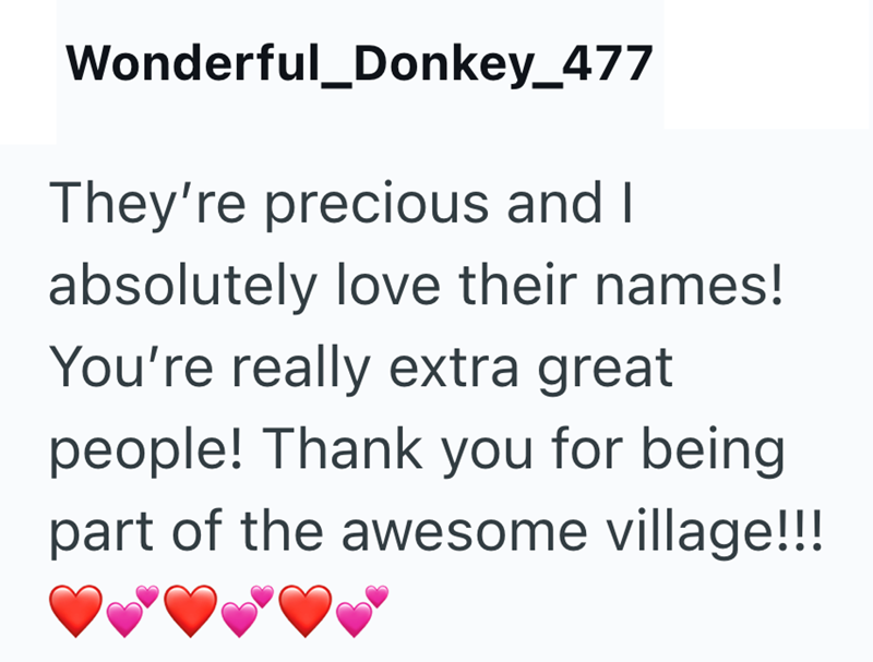 Wonderful_Donkey_477 They're precious and I absolutely love their names! You're really extra great people! Thank you for being part of the awesome village!!!