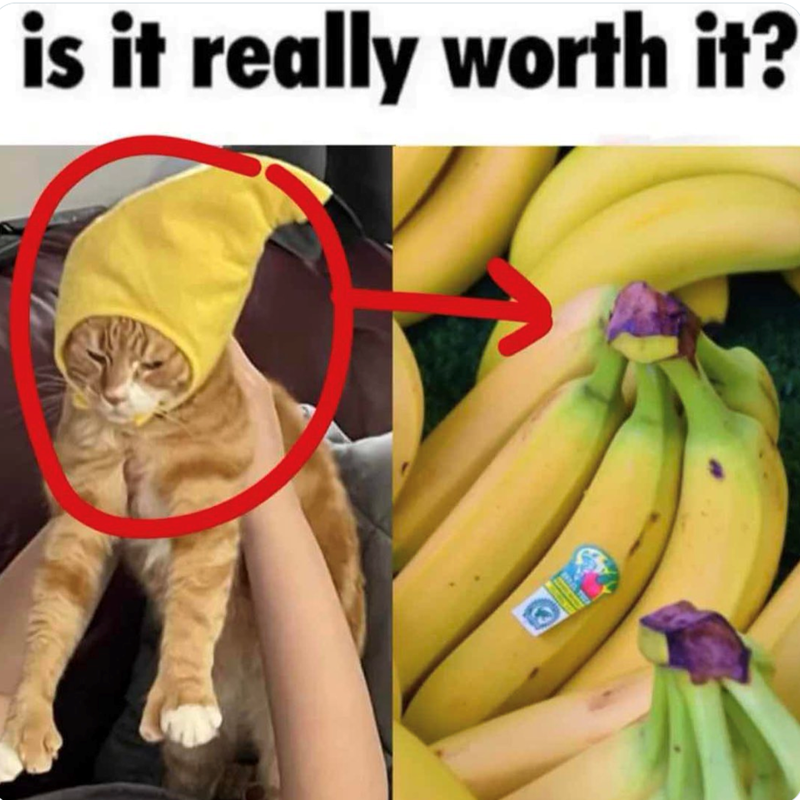 is it really worth it?