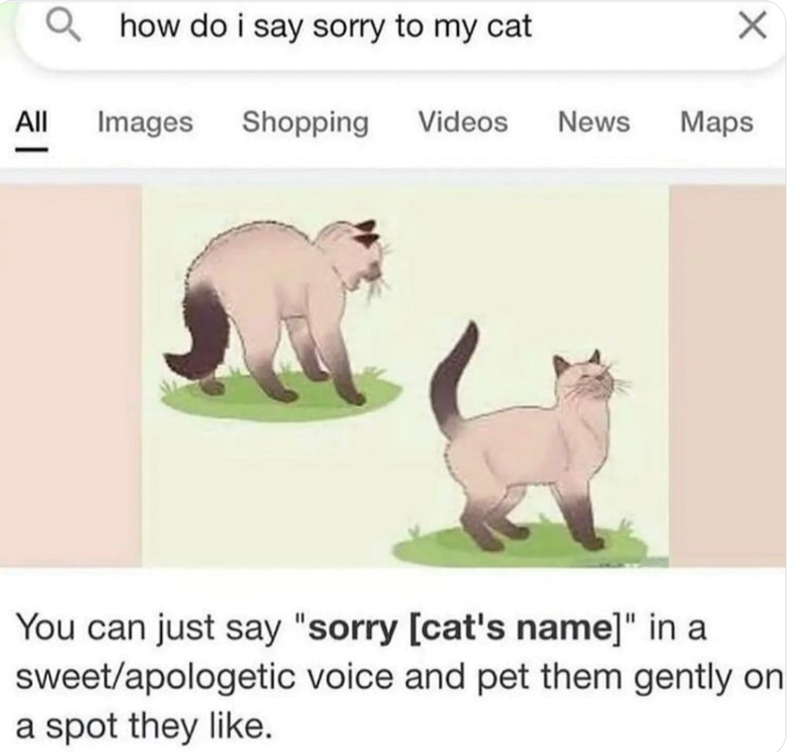 | Qhow do i say sorry to my cat ☑ All Images Shopping Videos News Maps You can just say "sorry [cat's name]" in a sweet/apologetic voice and pet them gently on a spot they like.