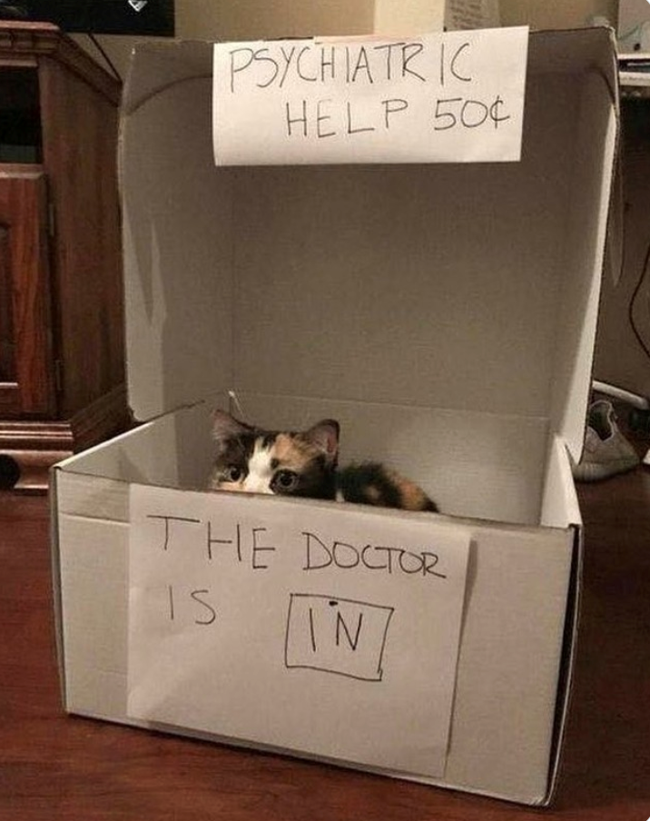 PSYCHIATRIC HELP 50¢ THE DOCTOR IS IN