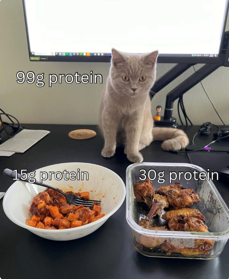 99g protein 15g protein 30g protein